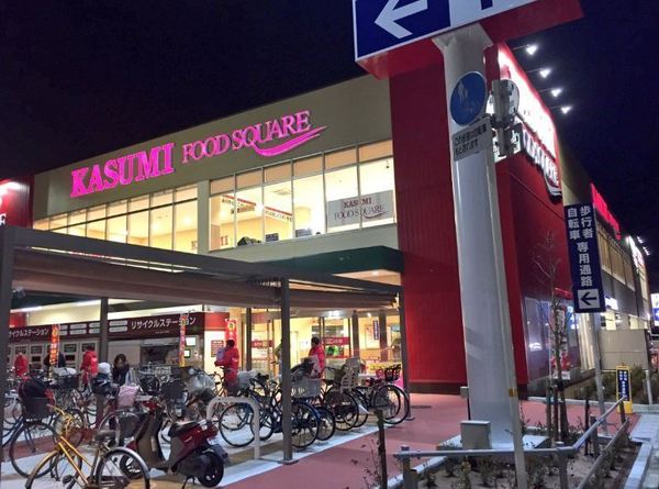ペットOK 千葉ガーデンタウンD棟(カスミフードスクエア千葉みなと店)