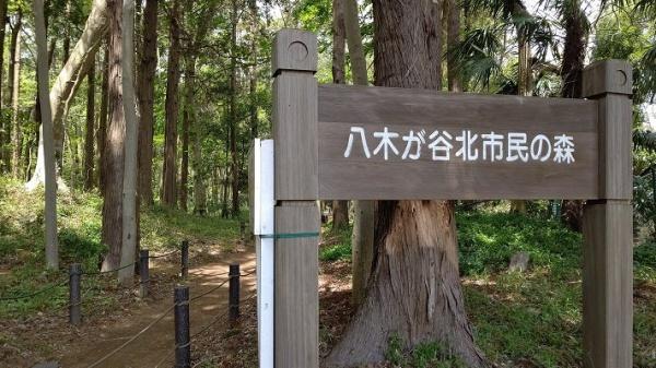 船橋市八木が谷3丁目新築戸建(八木が谷北市民の森)