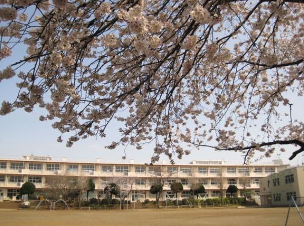 千葉市中央区星久喜町の土地(千葉市立星久喜小学校)