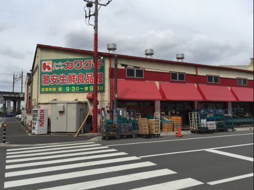 ペットOK　プレミアムレジデンス千葉県立美術館前(スーパーチェーンカワグチ市場食品館店)