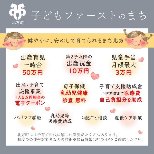 本巣郡北方町小柳１丁目の土地