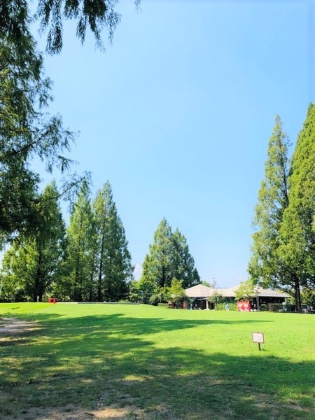 岐阜市長良の土地(長良公園)