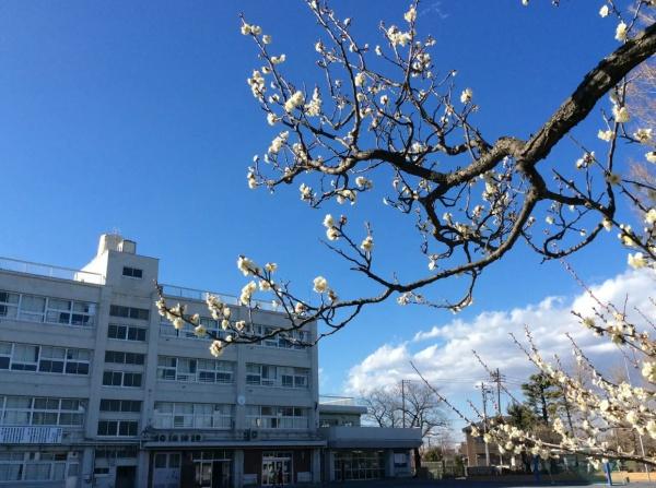 岐阜市瑞雲町1丁目の土地(岐阜市立梅林小学校)