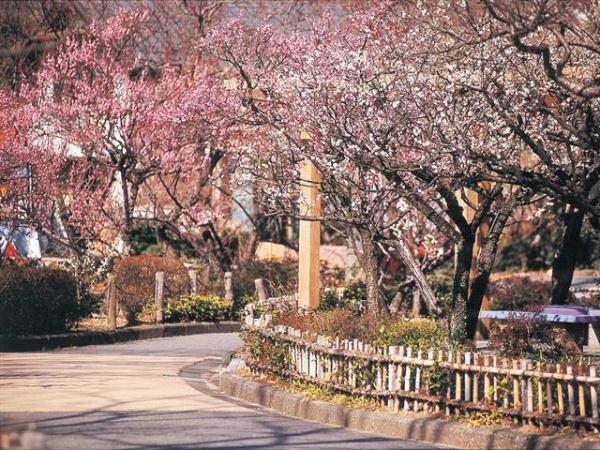 岐阜市瑞雲町1丁目の土地(梅林公園)