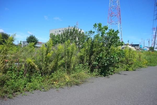 本巣市小柿の土地