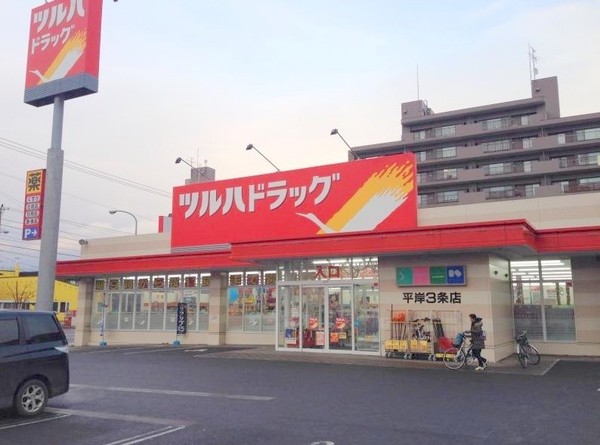 平岸３－８ビル(ツルハドラッグ平岸3条店)