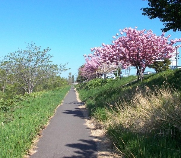 西区八軒９条西４丁目　Cradlegarden　１号棟(琴似川緑地)