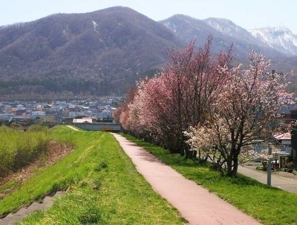手稲区新発寒3条4丁目 Cradlegarden 5号棟(中の川緑地)