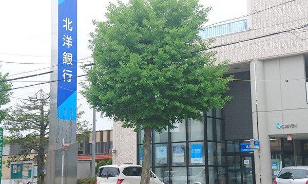 東区東苗穂6条1丁目 ブルーミングガーデン 3号棟(北洋銀行札苗支店)