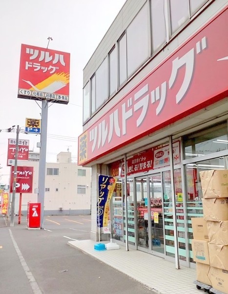 ディアハイム山鼻南(ツルハドラッグ南22条店)