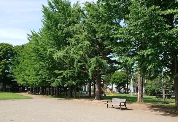 サーム月寒中央(平和公園)
