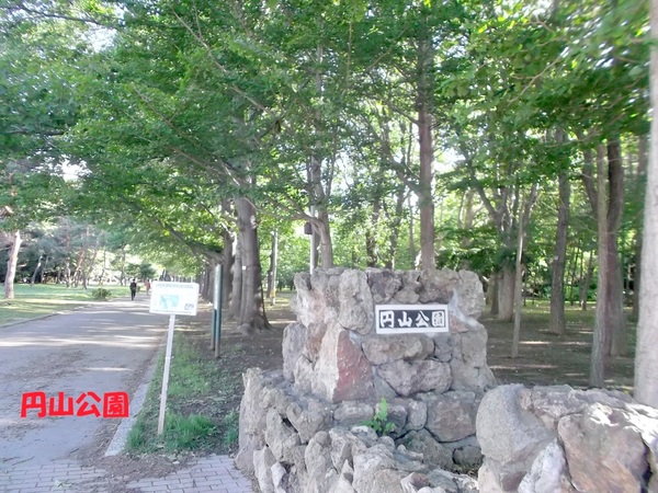 コープ野村宮の森(円山公園)