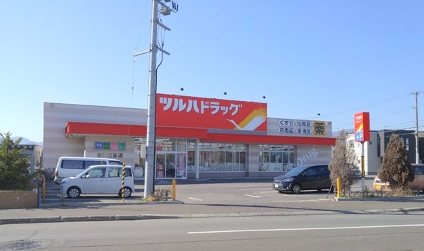 北区新琴似1条4丁目 ブルーミングガーデン 1号棟(ツルハドラッグ新川3条店)