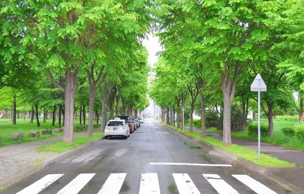 サーム八軒(エルムの森公園)