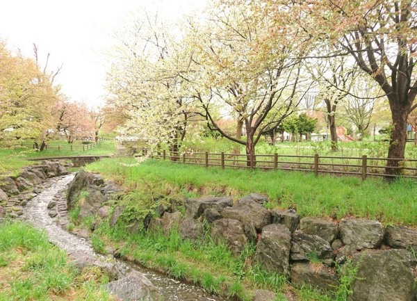 朝日プラザ羊ヶ丘(福住小川公園)