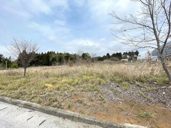 成田市天神峰の土地