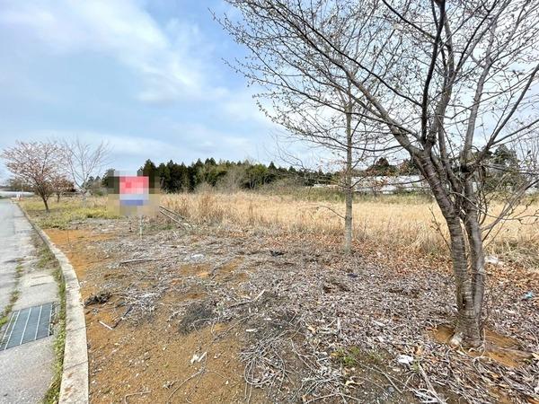 成田市天神峰の土地