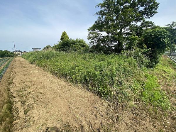 鉾田市上幡木の土地