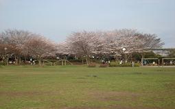 佐倉市ユーカリが丘1丁目の中古一戸建て(ユーカリが丘南公園)