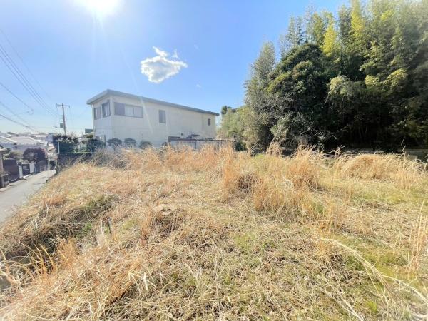 佐倉市新臼井田