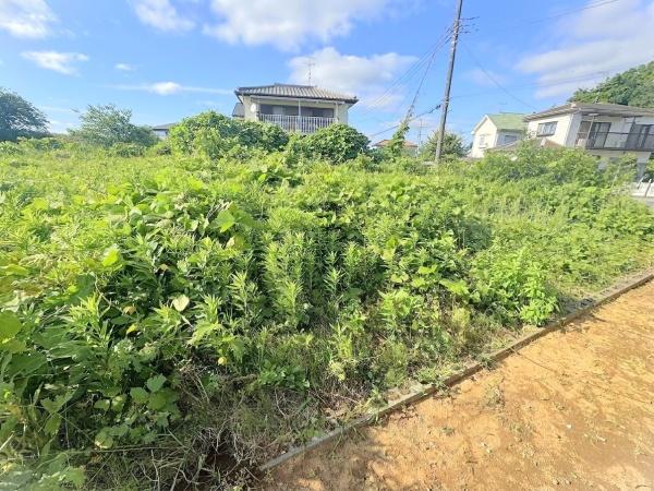 富里市十倉　ハニワ台ニュータウン　土地