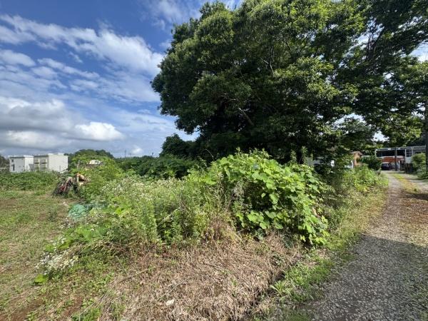 富里市根木名　土地