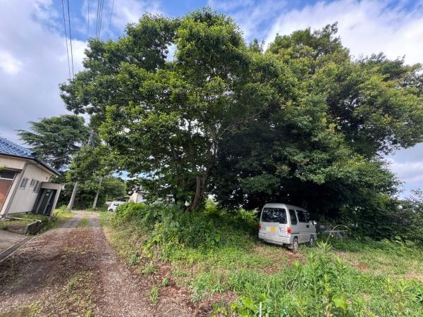 富里市根木名　土地