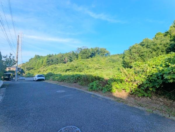 印旛郡酒々井町酒々井　土地