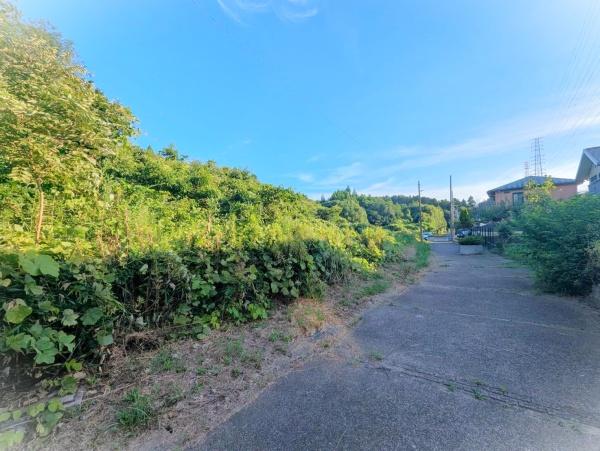 印旛郡酒々井町酒々井の土地