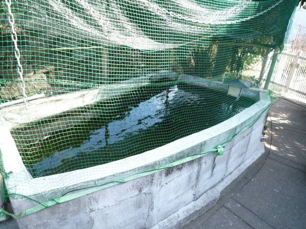 紀の川市下井阪の中古一戸建て