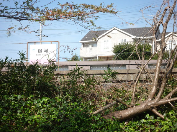 紀の川市粉河の土地(粉河駅(JR和歌山線))
