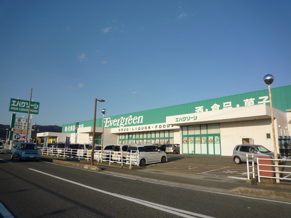 岩出市中迫第5-1号棟　新築分譲住宅(エバグリーン岩出中迫店)