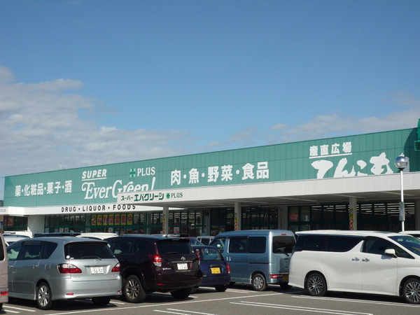 和歌山市府中第1-3号棟 新築分譲住宅(スーパーエバグリーンプラス和歌山北インター店)