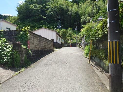 海草郡紀美野町動木の土地