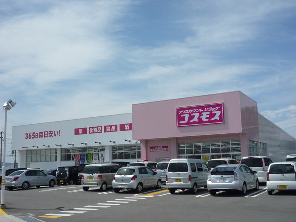 水鉄ガーデンパレス岩出(ディスカウントドラッグコスモス中黒店)