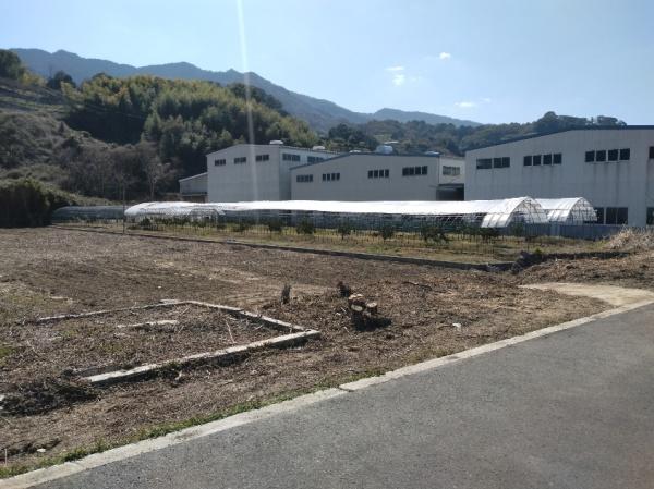 紀の川市西脇の土地