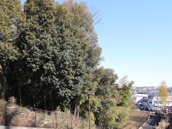 横浜市瀬谷区下瀬谷3丁目 新築戸建(久田緑地)
