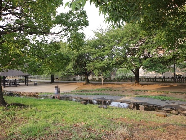 ライオンズマンションかしわ台(北部公園)