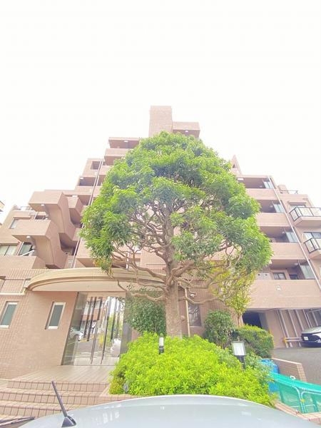 藤和シティホームズ湘南台弐番館