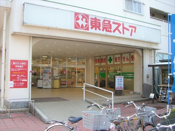 相模原市南区上鶴間6丁目の土地(東急ストア東林間店)
