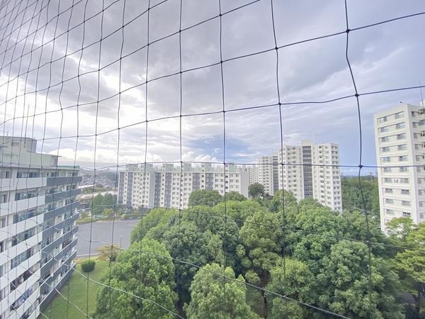 県ドリームハイツ17号棟(現地からの眺望)