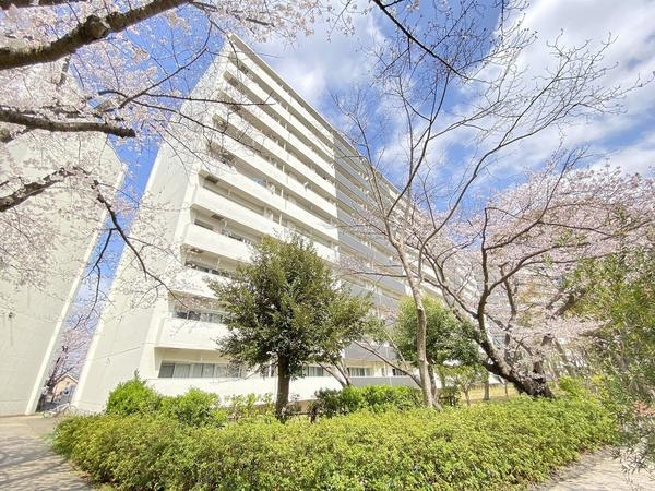 県ドリームハイツ18号棟