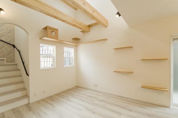羽曳野市はびきの４丁目の土地