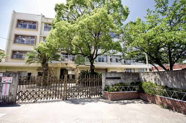 羽曳野市南恵我之荘8丁目の土地(羽曳野市立恵我之荘小学校)