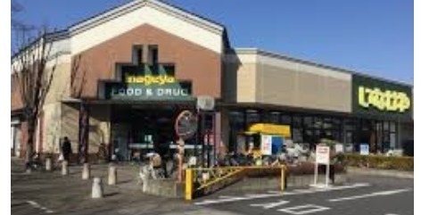 川越市伊勢原町3丁目の中古一戸建て(いなげや川越伊勢原店)