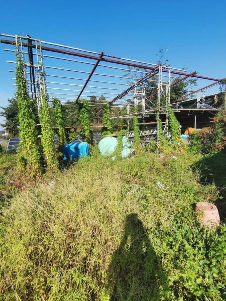 本庄市児玉町秋山の土地