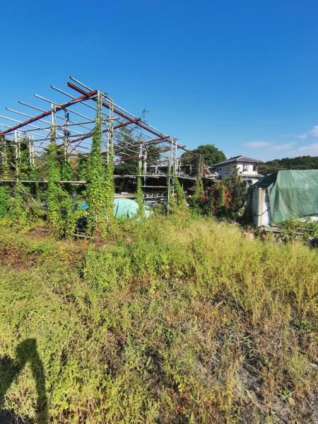 本庄市児玉町秋山土地