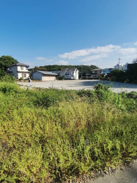 本庄市児玉町秋山土地