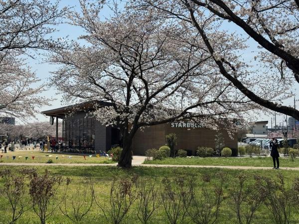 狭山市柏原の中古一戸建て(スターバックスコーヒー狭山入間川にこにこテラス店)