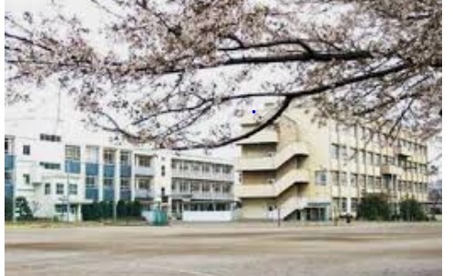 川越市むさし野南の中古一戸建て(川越市立大東中学校)